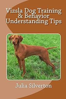 Conseils de dressage et de compréhension du comportement du chien vizsla