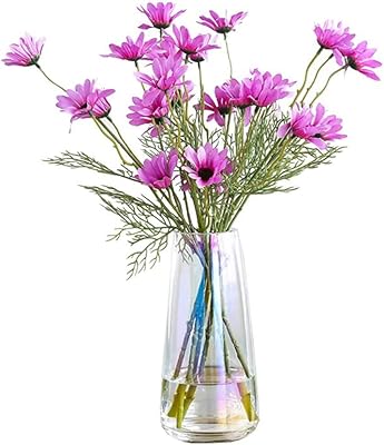 Vase moderne en verre transparent ns avec design irisé en cristal pour la décoration
