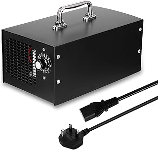 Stérilisateur à l'ozone 80 g/h pour la maison et l'extérieur, outils multifonctionnels, maison