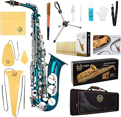 Saxophone alto rhythm ep pour débutant ensemble de saxophone avec étui