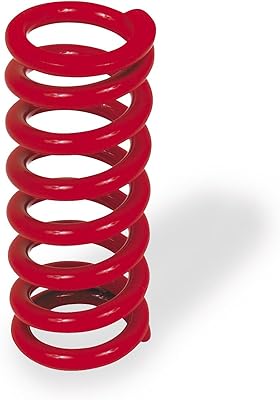 Ressort d'amortisseur robuste bbr motorsports