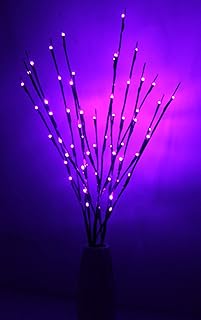 Fantasy lot de 3 branches lumineuses led de 76 cm, lumière d'arbre flexible pour la maison, le magasin, la fenêtre, la décoration de branches de salon, 6 couleurs disponibles (paquet de 3, violet). Découvrez DIAYTAR COTE D'IVOIRE, la boutique en ligne généraliste qui vous propose plus de 300 000 références pour répondre à tous vos besoins. Avec une large gamme de produits, vous trouverez facilement ce que vous cherchez. DIAYTAR COTE D'IVOIRE est la boutique en ligne leader en Côte d'Ivoire.