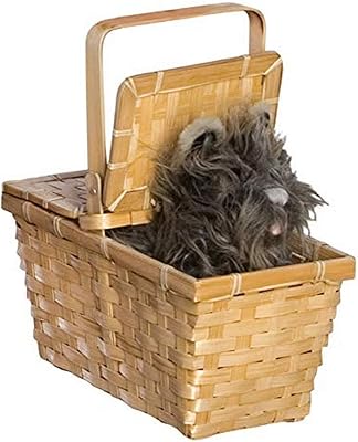 Rubie's wizard of oz dorothy tutu dans un panier accessoire de mode. La boutique en ligne DIAYTAR COTE D'IVOIRE propose une gamme étendue de produits, répondant ainsi aux attentes de sa clientèle diversifiée. Elle se distingue par sa capacité à offrir des produits de qualité à des prix abordables, ce qui explique son leadership sur le marché ivoirien. DIAYTAR COTE D'IVOIRE continue de se développer pour améliorer l’expérience d’achat de ses clients.