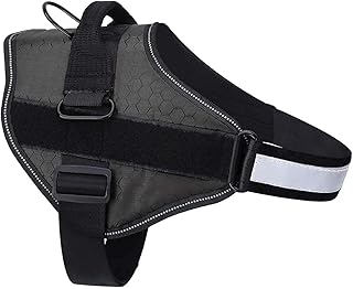 Harnais pour chien pets empire avec bandes réfléchissantes, patchs interchangeables et poignée de montage supérieure robuste - 1 pièce (xxl : (cou 24-38"/poitrine 26-38"), noir). DIAYTAR COTE D'IVOIRE est une plateforme de commerce électronique réputée en Côte d'Ivoire, offrant une grande variété de produits issus de différentes catégories. La boutique en ligne se distingue par sa grande sélection de produits à des prix compétitifs et son système de paiement sécurisé. Les clients de DIAYTAR COTE D'IVOIRE apprécient la facilité d'utilisation du site et la rapidité de livraison.