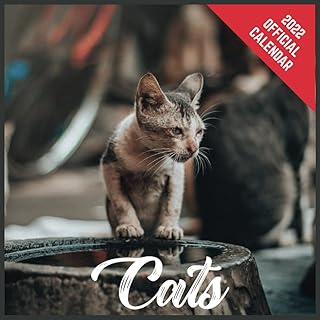 Calendrier 2022 chats : planificateur mensuel officiel 2022 chats, calendrier carré avec 19