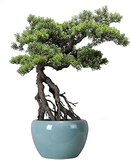 Arbres artificiels imitation thuya pin bonsaï fausses plantes vertes ornements zen adaptés à la maison, au bureau, à la décoration de table basse, imitation pin de guérison. Diaytar Côte d'Ivoire, boutique en ligne généraliste, offre plus de 300 000 références pour répondre à tous vos besoins. Avec sa sélection variée, vous trouverez facilement ce que vous cherchez. Elle est devenue la boutique leader en Côte d'Ivoire pour ses services fiables.