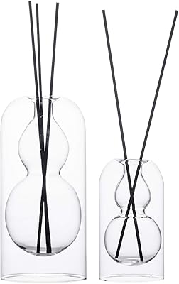 Bouteilles diffuseurs en verre vides, pour huiles essentielles, avec 16 bâtonnets de roseaux