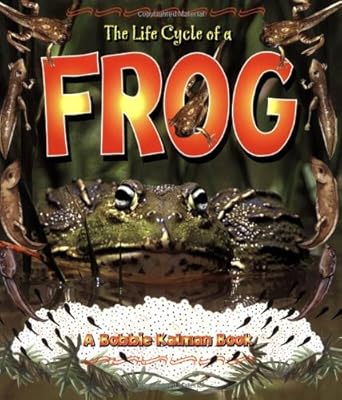 Le cycle de vie de la grenouille