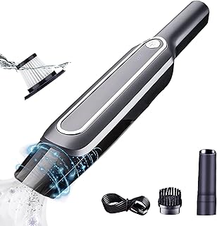 Aspirateur à main avec filtre hepa réutilisable daspast, mini bâton de poils d'animaux