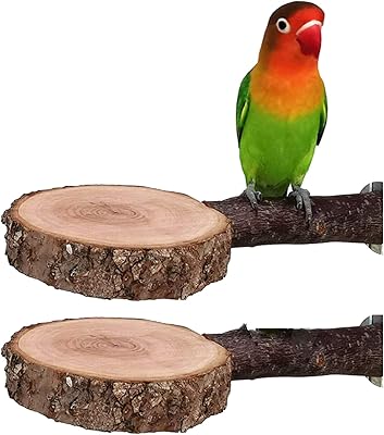 Support de perchoir à oiseaux tim, support de perroquet en bois pour cage à oiseaux en bois de pommier naturel, jouet pour petites perruches, perruches, calopsittes, conures, tourtereaux, paquet de 2. DIAYTAR COTE D'IVOIRE est une boutique en ligne généraliste qui propose plus de 300 000 références de produits divers. Elle est reconnue comme l'une des boutiques leaders en Côte d'Ivoire, offrant une large gamme de choix pour ses clients. Avec une telle variété, les clients peuvent trouver tout ce dont ils ont besoin sous un même toit.