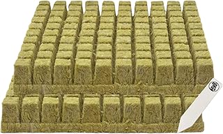 Bouchons grodan 1" rockwool pour débutants 2 feuilles de 100 bouchons