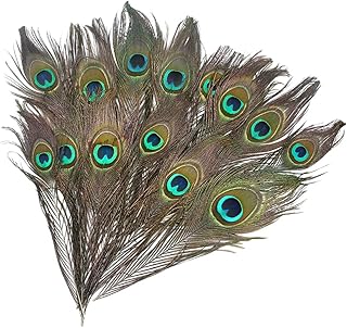 Helvety 25 pièces plumes de paon naturelles naturelles avec oeil pour les arts