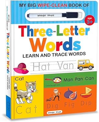 Mon grand livre effaçable et propre de mots de trois lettres