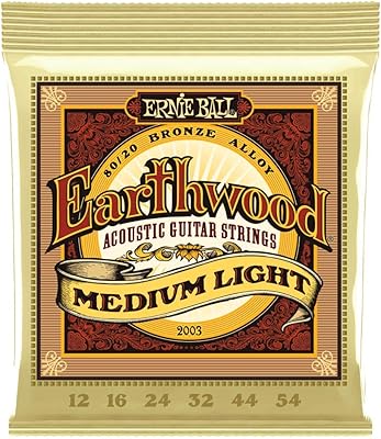 Cordes de guitare acoustique ernie paul earthwood 80/20 bronze moyen clair - taille