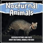 Animaux nocturnes : découvrez des images et des faits sur les animaux nocturnes