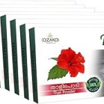 Poudre d'hibiscus naturelle (chembarathi thali-gudhal) pour le soin des cheveux 320 grammes paquet