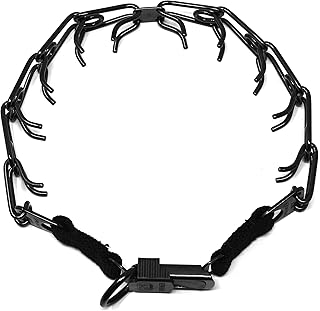 Collier de dressage pour chien herm springer en acier inoxydable avec clip