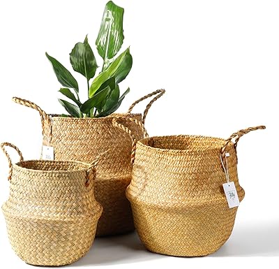 Ensemble de 3 paniers à plantes en jonc de mer botti - panier ventral tissé à la main avec poignées, grand rangement pour pique-nique, cache-pot pour décoration intérieure, sac de plage en paille tissée (s+m+l, marron original). La boutique en ligne DIAYTAR COTE D'IVOIRE propose une large sélection de produits allant de l'électronique aux accessoires de mode, en passant par les produits pour la maison et les loisirs. Elle_collabore avec des fournisseurs réputés pour garantir la qualité des produits proposés, ce qui renforce la confiance de ses clients. Cela contribue à son succès et à sa notoriété en Côte d'Ivoire.