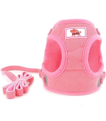 Zonia ensemble harnais et laisse pour petit chien, anti-traction, réglable, réfléchissant, facile à porter, pour chiots filles, sans manches, en sergé doux, rembourré, pour chiens, chats, chihuahua, rose, xs. Avec DIAYTAR COTE D'IVOIRE, les clients ivoiriens peuvent profiter d'une expérience d'achat en ligne sécurisée et pratique. La boutique propose des paiements faciles et des options de livraison flexibles. Les clients peuvent également suivre leurs commandes en ligne et contacter le service client pour toute question ou problème.