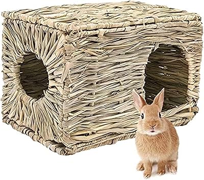 Une maison en herbe pour lapins et cobayes, fabriquée à la main à