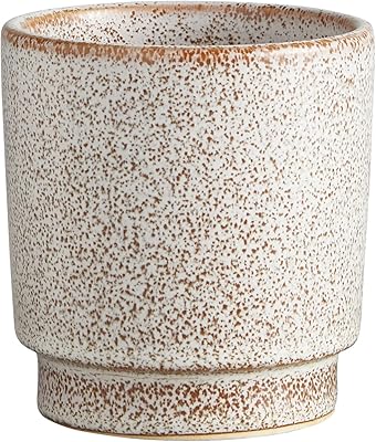 47th and main pot de fleur en céramique émaillée crème claire et beige foncé pour petites plantes succulentes et plus, moyen, à pois. Avec plus de 300000 références de produits, DIAYTAR COTE D'IVOIRE est la boutique en ligne la plus complète de Cote d'Ivoire. Elle offre une expérience d'achat en ligne facile et sécurisée, permettant aux clients de faire leurs achats en toute confiance.