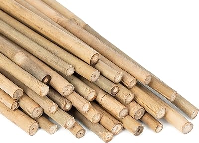Bâtons de bambou de jardin naturel pour plantes d'intérieur et d'extérieur, 20 pièces