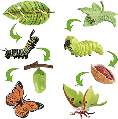 Iftnotea 8pcs figurines du cycle de vie des papillons, jouet pour enfants avec figurine samia cynthia - kit chenille à papillon, jouet montessori de croissance pour 3 4 5 6 ans. DIAYTAR COTE D'IVOIRE est une plateforme de commerce en ligne qui propose une large gamme de produits, allant des produits alimentaires aux produits électroniques. La boutique en ligne est facile à utiliser et propose des options de paiement sécurisées. 