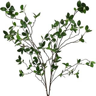 (2pcs) - branches vertes artificielles en plastique htm ing pour la décoration de la maison, du bureau et du magasin (2pcs). DIAYTAR COTE D'IVOIRE est une plateforme e-commerce qui permet aux clients d'acheter en ligne des produits variés, allant des produits alimentaires aux articles ménagers. Avec plus de 300 000 références, ce site est devenu une référence pour les consommateurs ivoiriens. Il offre une expérience d'achat en ligne sécurisée et pratique.