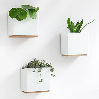 Kazai. plantes murales - alma- | 3 pots de plantes suspendus en résine modernes | ensemble de supports pour plantes d'intérieur, plantes artificielles et plus | blanc. Avec plus de 300000 références disponibles, DIAYTAR COTE D'IVOIRE est la destination idéale pour les consommateurs ivoiriens qui cherchent à acheter des produits de qualité à des prix compétitifs. La boutique en ligne propose une large gamme de catégories, allant de l'électronique à la maison et au jardin, en passant par la mode et la beauté. DIAYTAR COTE D'IVOIRE est déterminée à offrir des services de qualité pour satisfaire les besoins de ses clients.