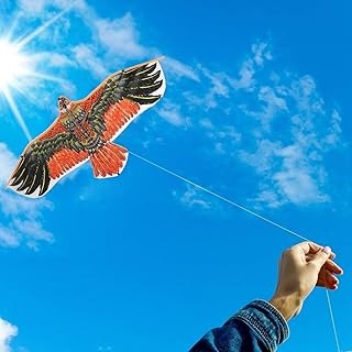 Jouet cerf-volant aigle pour enfants et adultes, facile à piloter, jeux de plage en plein air, jeux et activités, matériaux sûrs et non toxiques, 1,6 mètres de long - multicolore. DIAYTAR COTE D'IVOIRE, leader du commerce en ligne en Cote d'Ivoire, propose une large gamme de produits avec plus de 300000 références. La boutique en ligne offre une expérience d'achat unique et pratique pour les clients. Les produits vont des électroniques aux vêtements, en passant par les produits alimentaires.
