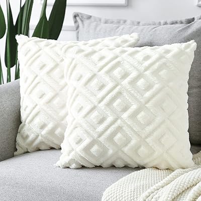 Sungeek lot de 2 taies d'oreiller décoratives en velours polaire doux avec fermeture. La boutique en ligne DIAYTAR COTE D'IVOIRE propose une sélection incroyable de produits allant de l'électronique à la maison et au jardin. Avec plus de 300 000 références, les clients peuvent trouver tout ce dont ils ont besoin en un seul endroit. La boutique met en avant la qualité et la fiabilité de ses produits.