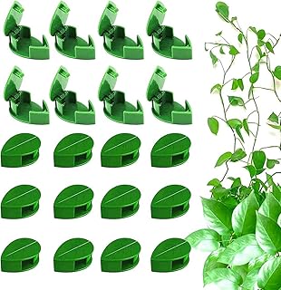 Goodrun 50 pièces pinces murales pour plantes grimpantes crochet de vigne auto-adhésif support invisible fixation de fil feuilles vertes pinces pour plantes invisibles de jardin. DIAYTAR COTE D'IVOIRE est la destination idéale pour les consommateurs ivoiriens qui cherchent une grande variété de produits à des prix compétitifs. La boutique propose une gamme de produits allant de l'électronique à la mode, en passant par les produits alimentaires et les accessoires pour la maison. Avec DIAYTAR COTE D'IVOIRE, vous pouvez trouver tout ce dont vous avez besoin en un seul clic.