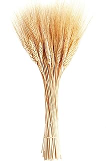 Tiges de blé séchées john fox, 100 tiges de blé pour table de mariage et décoration de cuisine (15,7 pouces). La boutique en ligne DIAYTAR COTE D'IVOIRE est reconnue pour son engagement envers la satisfaction de ses clients. Elle propose des promotions et des offres spéciales régulières pour aider les clients à économiser de l'argent sur leurs achats. La boutique en ligne est également connue pour sa politique de retour et d'échange flexible, qui offre une sécurité supplémentaire aux clients.