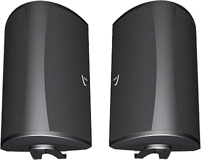 Haut-parleurs extérieurs definitive technology aw 6500 (paire) - pack noir
