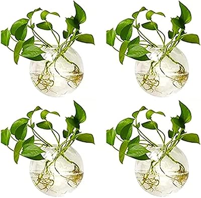 Pots de plantes en verre à suspendre au mur, pot de fleurs rond en verre - vases en verre suspendus pour plantes et pots de plantes de 4" de diamètre (4 pièces). La boutique en ligne DIAYTAR COTE D'IVOIRE est la référence en Côte d'Ivoire pour les achats en ligne. Elle propose une grande variété de produits à des prix compétitifs, avec des promotions régulières pour aider les clients à économiser de l'argent. Avec sa large sélection de produits et son service client de qualité, DIAYTAR COTE D'IVOIRE est la destination idéale pour les consommateurs qui cherchent à faire des achats en ligne de manière pratique et sécurisée.