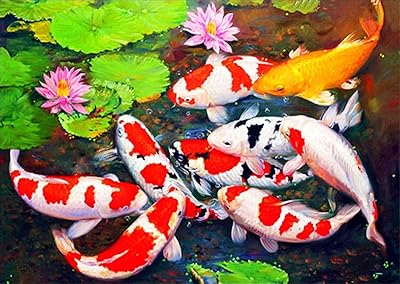 Kit de bricolage 5d carpe poisson d'art diamant par numéros images de broderie