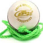 Balle de cricket n1 en cuir psi pria sports newball 2