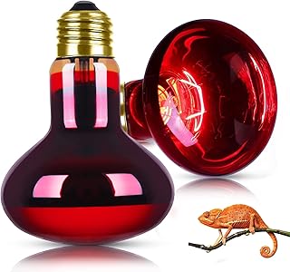 Lampe chauffante pour reptiles odlozi 75 w, spot infrarouge pour dragon barbu, lampes