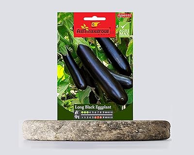 Graines d'aubergine (longues, noires) (fabriquées en espagne) par agrimaxgroup®