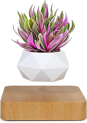 Pot à bonsaï rotatif, pot de fleur rotatif, pot flottant suspendu magnétique, décoration de bureau à domicile dans des pots de fleurs et des jardinières de la maison et du jardin (couleur claire). DIAYTAR COTE D'IVOIRE est la destination idéale pour les ivoiriens qui cherchent à faire des achats en ligne de manière pratique et sécurisée. Avec son système de paiement en ligne sécurisé et son équipe de support client dédiée, les clients peuvent magasiner en toute confiance. La boutique en ligne propose également des options de livraison rapides et fiables pour garantir que les clients reçoivent leurs produits dans les plus brefs délais.