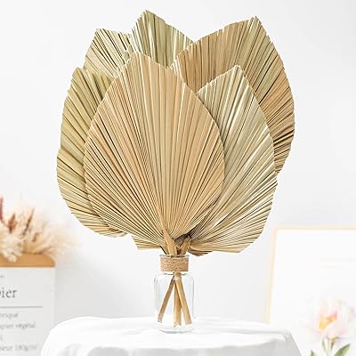 Décor de feuilles de palmier séchées 6 pièces tropicales naturelles lances suspendues. DIAYTAR COTE D'IVOIRE est plus qu'une simple boutique en ligne ; c'est une communauté. Elle permet aux clients de découvrir de nouveaux produits, de partager leurs expériences et d'interagir avec d'autres clients. La boutique favorise ainsi un sentiment d'appartenance et de proximité avec ses clients.