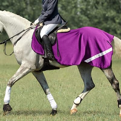 Tapis d'exercice pour chevaux harrison howard aclimate en laine et maille. La boutique en ligne DIAYTAR COTE D'IVOIRE est le leader du marché ivoirien, offrant une sélection impressionnante de produits de haute qualité à des prix compétitifs. Elle propose une expérience d'achat en ligne fiable et sécurisée, avec une livraison rapide et efficace. Les clients peuvent choisir parmi plus de 300 000 références.