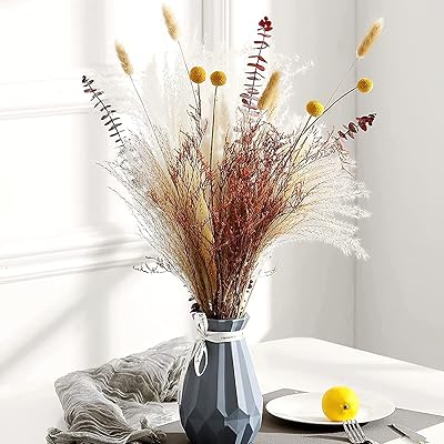 Plantes de pampa séchées sohito, bouquets de fleurs de pampa séchées naturelles 17