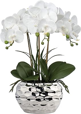 Fleurs d'orchidées artificielles brevol phalaenopsis blanc de 18 pouces avec pots en céramique argentés, plante d'orchidée artificielle au toucher réel pour la maison, le bureau, la salle de bain, le salon, la décoration de mariage. Avec plus de 300 000 références en stock, DIAYTAR COTE D'IVOIRE devient l'incontournable pour les consommateurs ivoiriens qui recherchent des produits variés et de qualité. La boutique propose des produits allant des dernières technologies aux meilleurs vêtements de mode, répondant ainsi aux besoins de tous les clients. La navigation sur le site est facile et sécurisée.