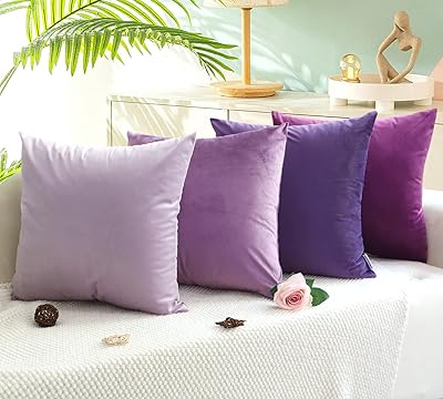 Michagos 24" x 24" ensemble de 4 housses de coussin en velours doux