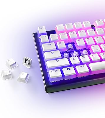 Steelseries prismcaps - double shot pudding-style - pbt thermoplastique durable - compatible avec une large gamme de claviers mécaniques - blanc. Diaytar Côte d'Ivoire se distingue par son incroyable diversité de produits, allant des électroniques aux articles ménagers, en passant par les vêtements et accessoires. Avec plus de 300 000 références, il est certain que chaque client trouvera ce qu'il cherche.