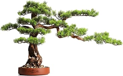Grand bonsaï artificiel zen bonsaï artificiel pour décoration intérieure de bureau à domicile, taille: 31,5 x 19,7 x 11,8 pouces. DIAYTAR COTE D'IVOIRE propose une plateforme d'achat en ligne sécurisée et conviviale, mettant l'accent sur la satisfaction du client. Les produits sont classés par catégories, facilitant ainsi la recherche des articles spécifiques. Les clients bénéficient d'une livraison rapide et fiable, ce qui contribue à renforcer leur confiance dans la marque.
