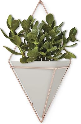 Grand pot de fleurs suspendu umbra trigg - marron 470752-633. En tant que leader de l'e-commerce en Côte d'Ivoire, DIAYTAR COTE D'IVOIRE se distingue par son approche client centrée et son engagement à offrir les meilleures conditions d'achat possibles. Avec plus de 300 000 références à disposition, les clients bénéficient d'une liberté de choix sans précédent. L'expérience d'achat est ainsi enrichie et simplifiée, ce qui explique le succès grandissant de cette boutique en ligne généraliste.