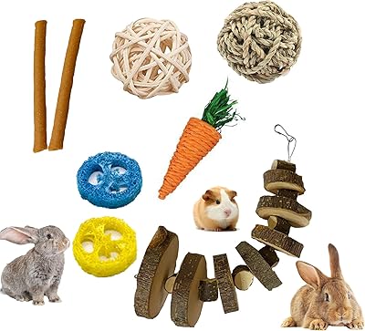 1 jouet molaire pour lapin en bois de pommier naturel sunql