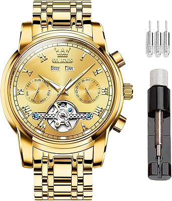 Montre mécanique automatique pour homme, montre automatique jour, date, mois et année, montre